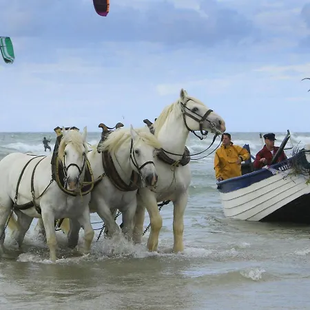 Nacre - Vue & - Confort & Evasion Lejlighed *