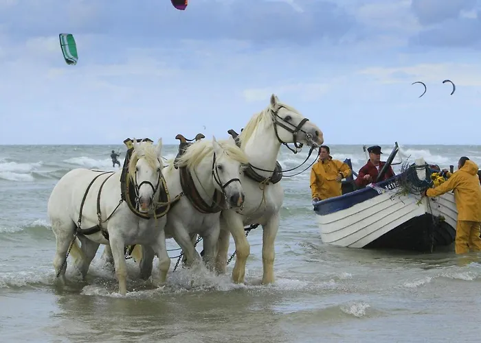 Nacre - Vue & - Confort & Evasion Appartement *